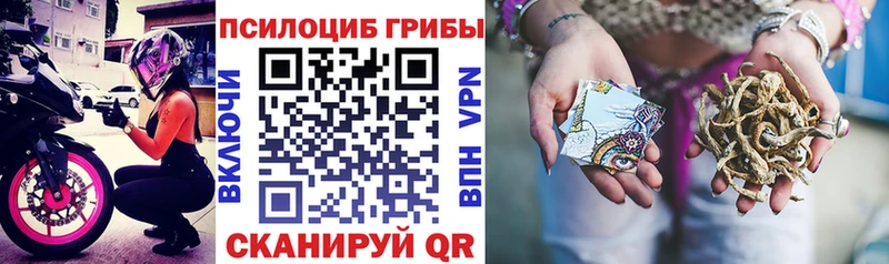 где купить   MEGA tor  Галлюциногенные грибы MAGIC MUSHROOMS  Одинцово 